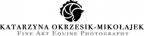 logo-na-strone-600x154