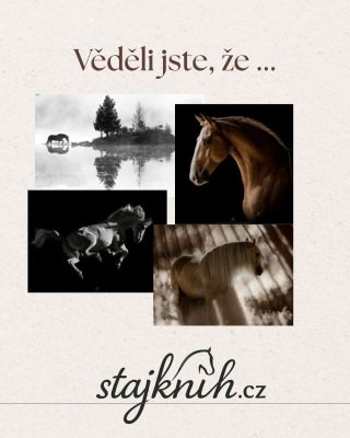 Katarzyna Okrzesik-Mikołajek – světově uznávaná Fine Art fotografka, která dokáže zachytit duši a krásu koní způsobem,...