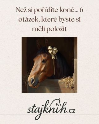 Než si pořídíte koně… 🐴 Sen, který může být krásný – nebo těžký, pokud se na něj člověk nepřipraví. Položte si těchto 6...