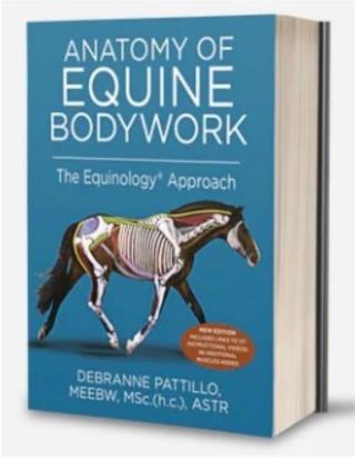 📘 Equinology přichází do Česka! Chystáme hromadnou objednávku knihy Anatomy of Equine Bodywork – The Equinology Approach z...