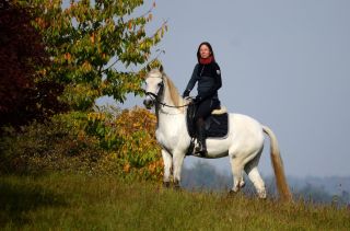 🐴 Překlad knihy o koních není jen převod slov. Kateřina Lipinská v rozhovoru popisuje, jak si vybírá tituly podle jejich...