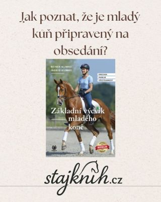 Díl 2 seriálu o obsedání je online. Tentokrát se zaměřujeme na to, podle čeho opravdu poznat, že je mladý kůň připravený...