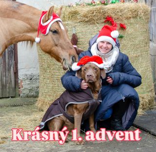 Krásný 1. advent 🎄✨ Vánoce se blíží – a u nás si vybere skoro každý. Nemáme jen knihy o koních, ale spoustu dalších...