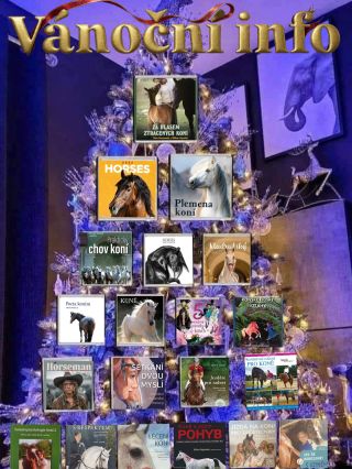 🎄 Vánoční doručení – důležité info 📦 Anglické knihy mimo sklad Nedorazí do Vánoc, ani když je objednáte teď. 🚚 Knihy...