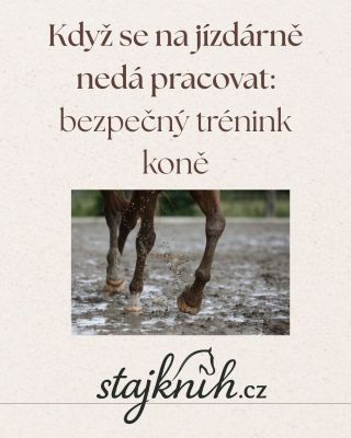 Když je jízdárna rozblácená, klouže to, je příliš tvrdá nebo plná zimních „zmrazků“, není to o lenosti. Je to o bezpečí...