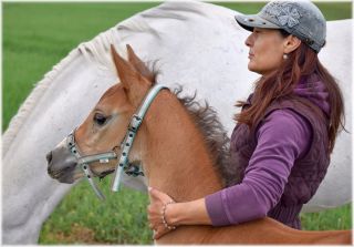 🐴 Koně si zaslouží víc než „nějak to přežít v bahně“. Proto vznikla kniha Venkovní ustájení koní – a proto jsme...