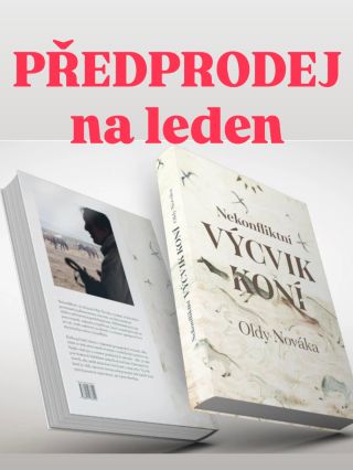PŘEDPRODEJ spuštěn na www.stajknih.cz Jemnost nikdy nebyla slabostí. Byla jen často nepochopená. Tato kniha vznikla jako...